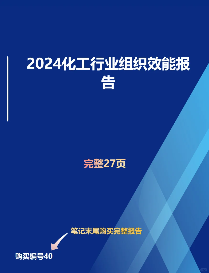 2024化工行业组织效能报告
