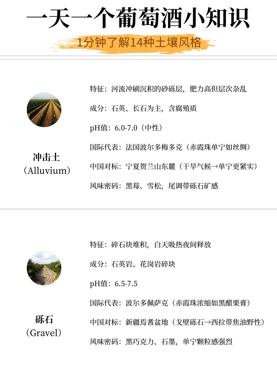 葡萄酒14种土壤解析！风土与风味的关系！