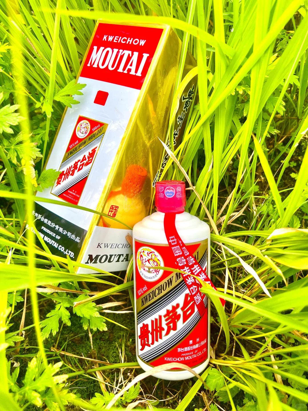 飞天茅台五粮液