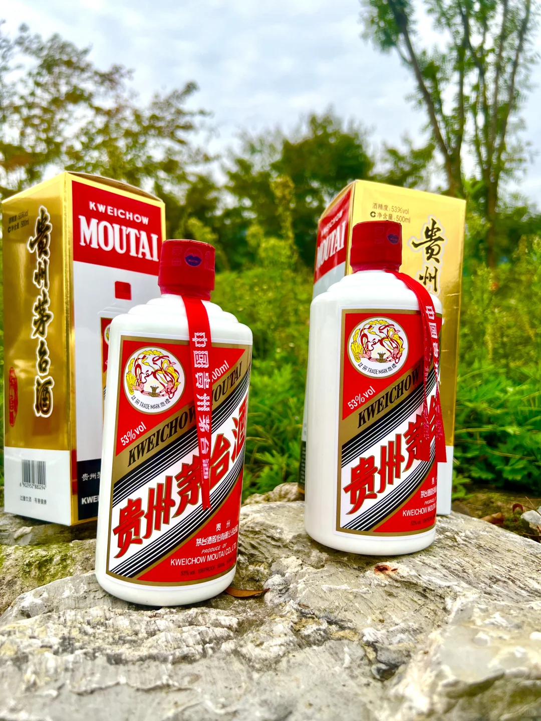 飞天茅台五粮液