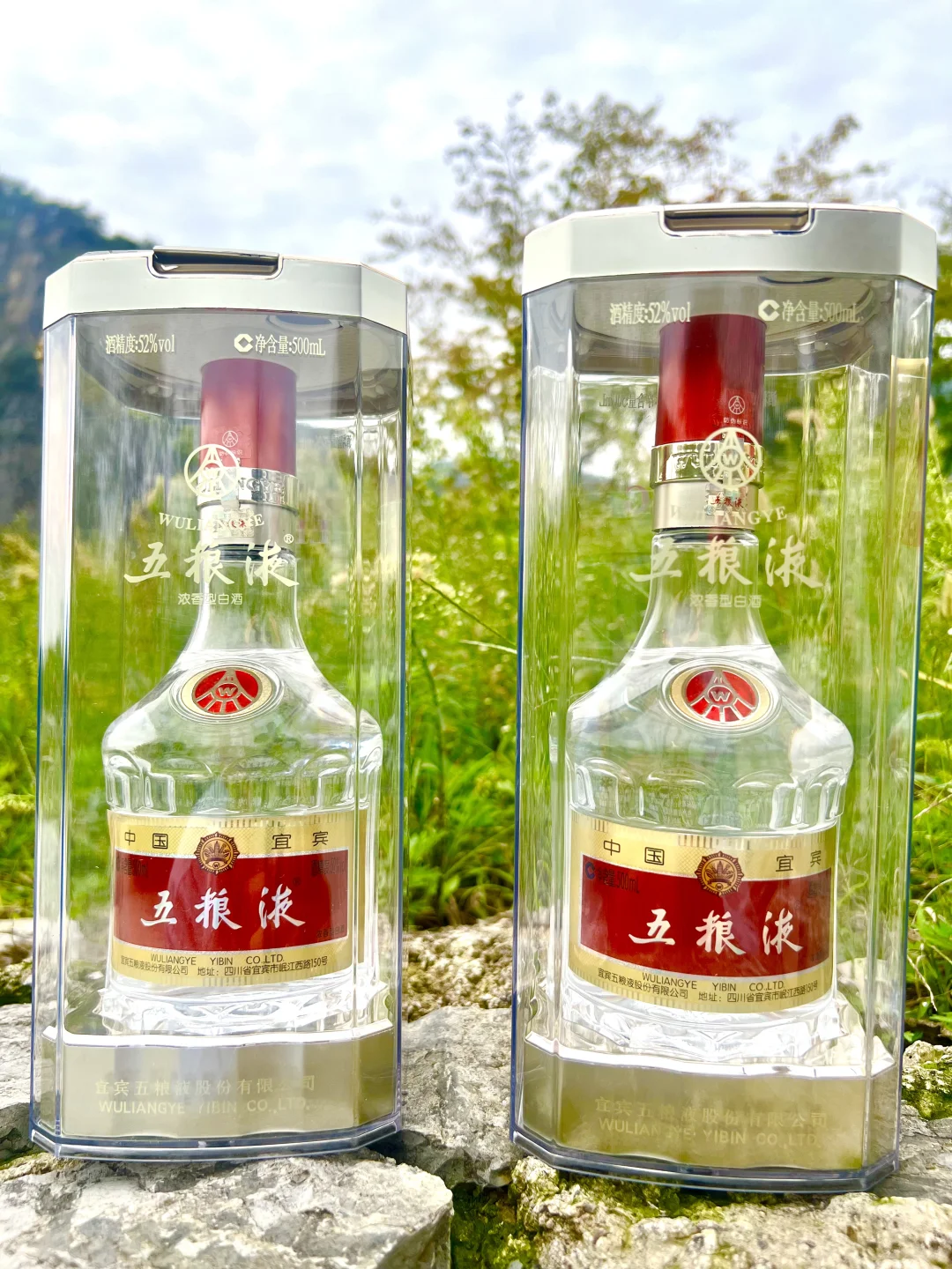 飞天茅台五粮液