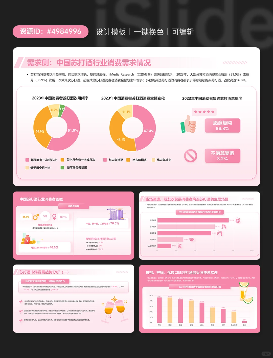 苏打酒行业发展及消费需求洞察报告PPT