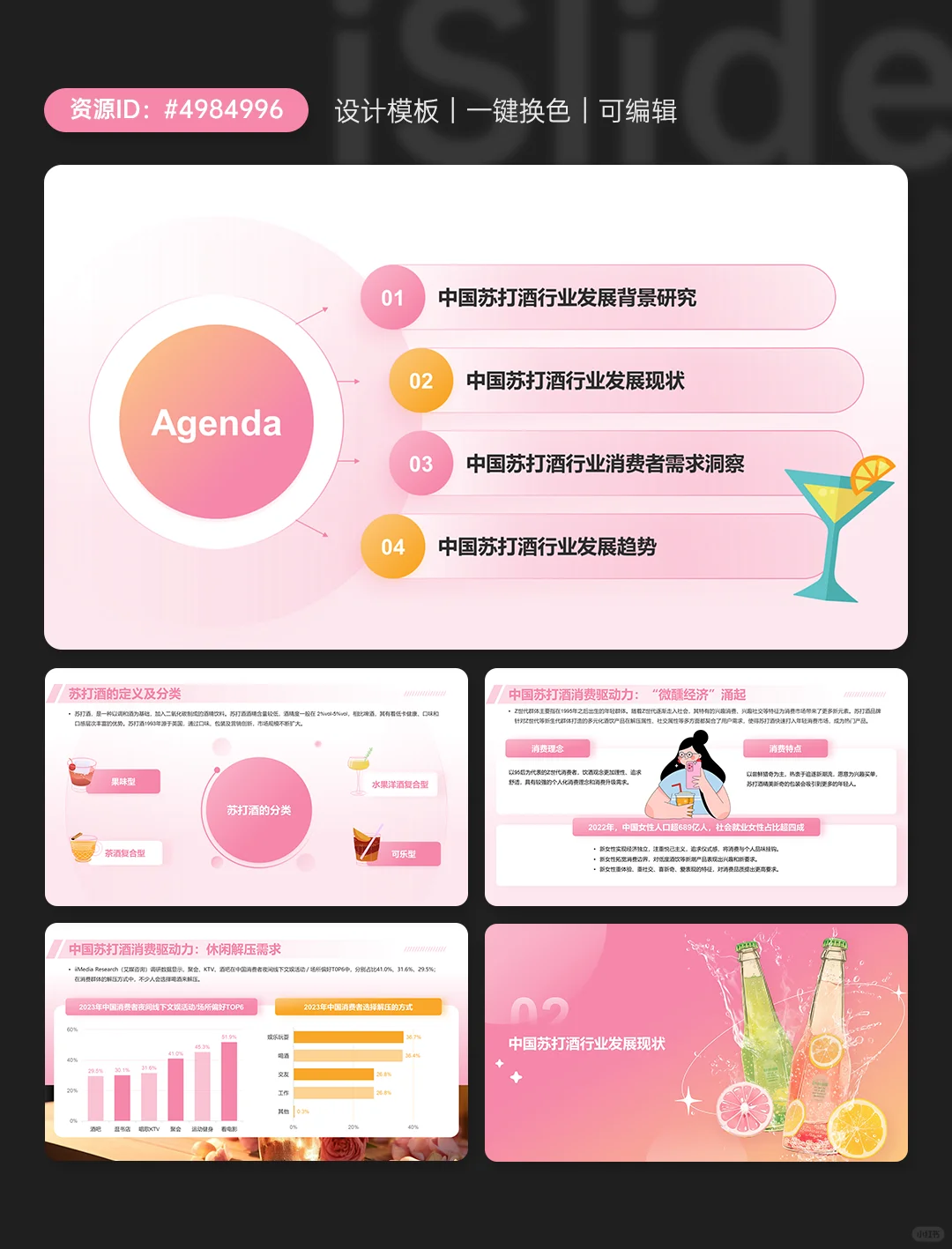 苏打酒行业发展及消费需求洞察报告PPT