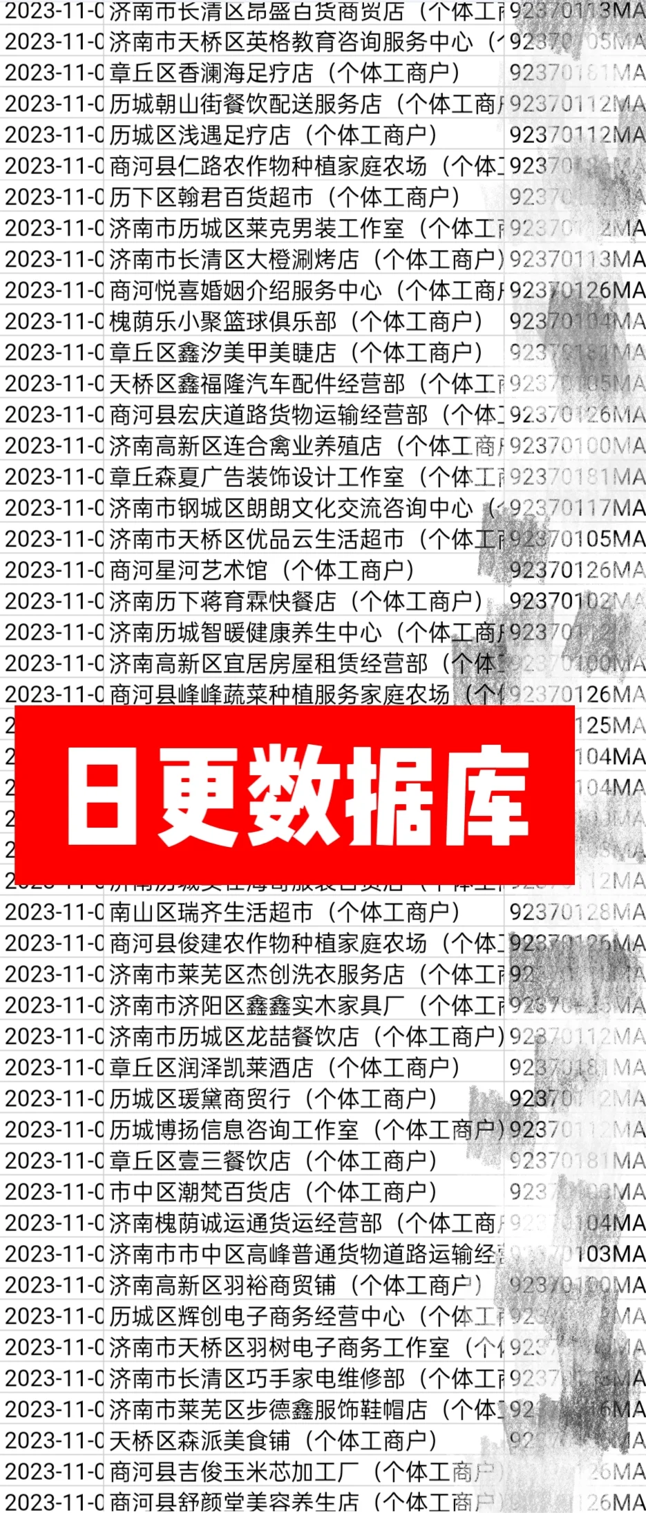 年报料子，日更月更