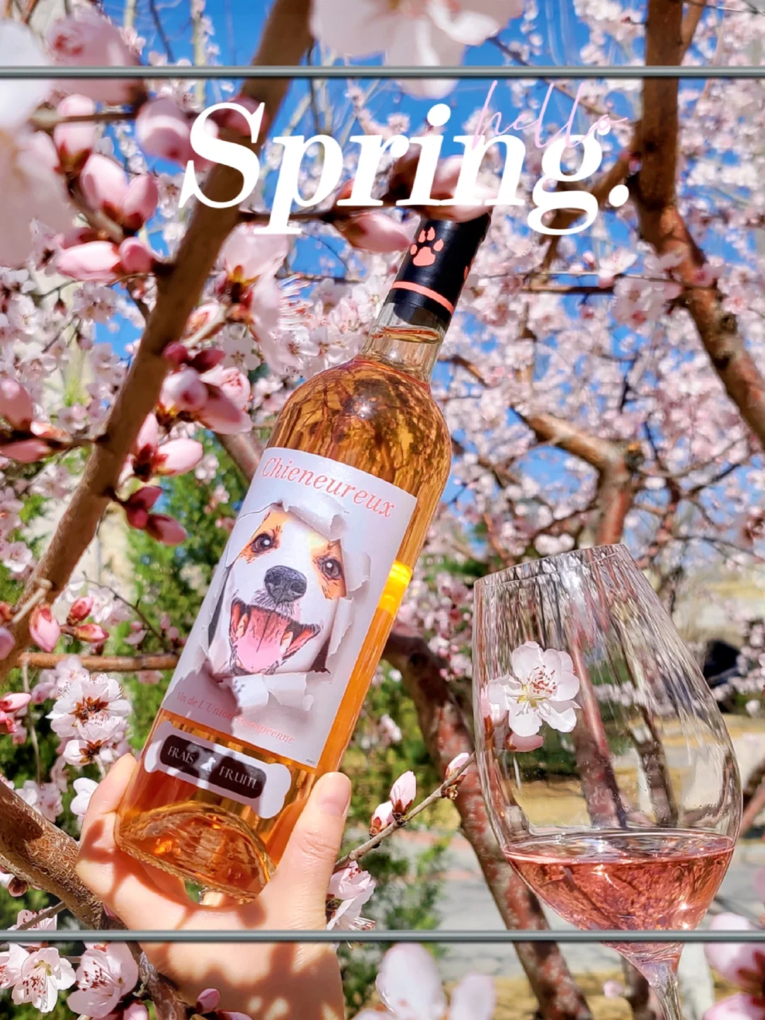 春天和桃红葡萄酒适配度?