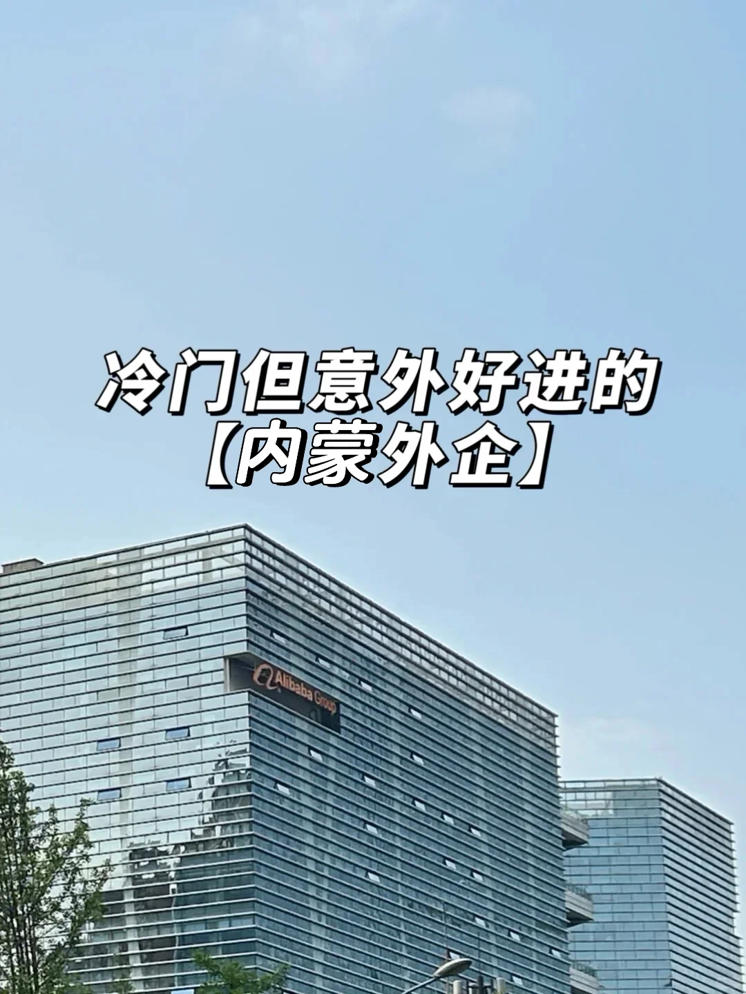 冷门但意外好进的神仙外企：内蒙古篇