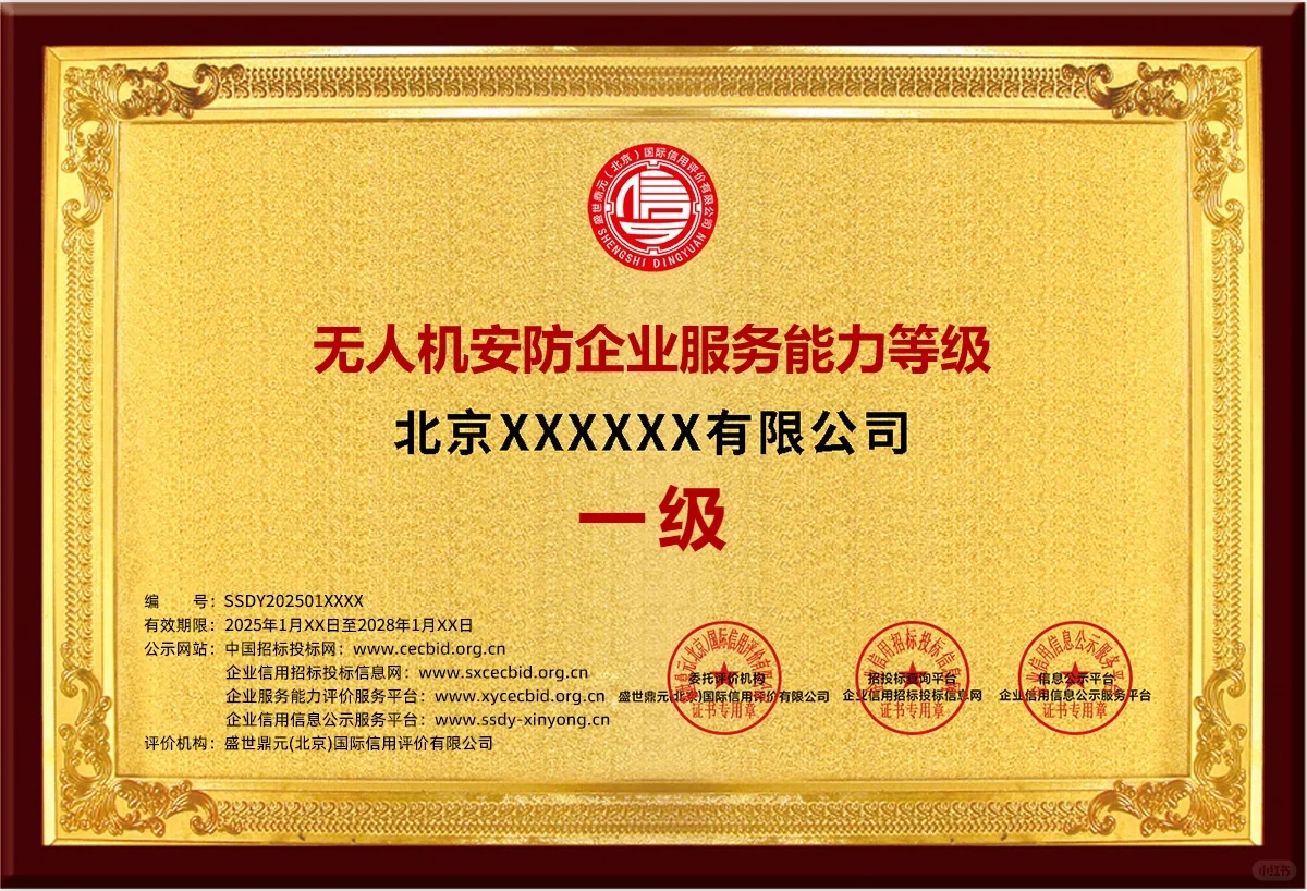 无人机安防企业服务能力等级证书