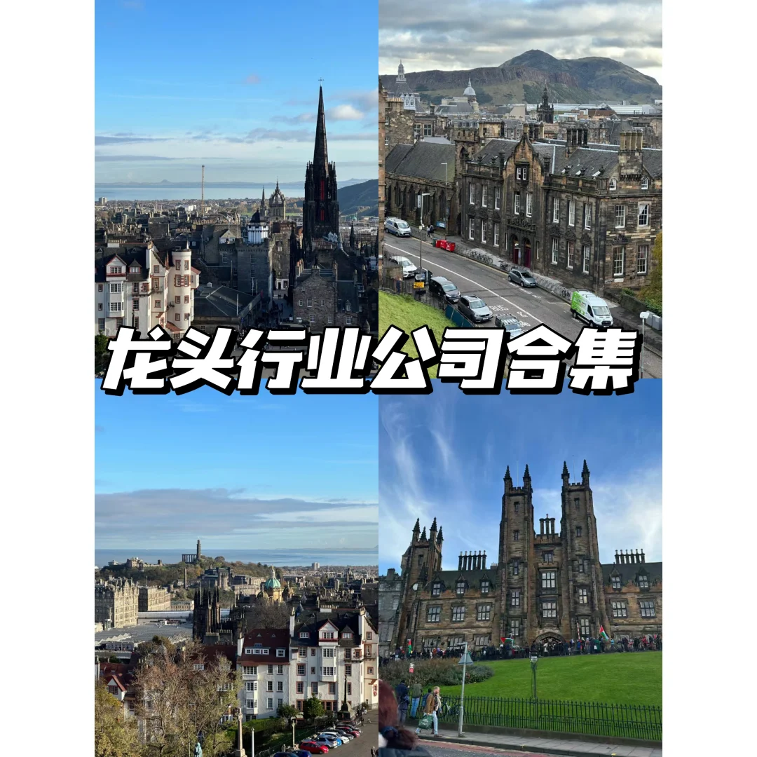 谁懂❗❗我竟然收集了全行业的龙头公司?