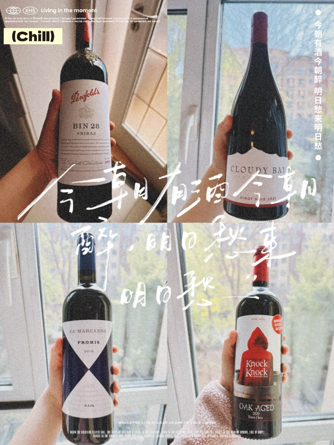 ?资深酒蒙子的良心推荐 总有一款适合你