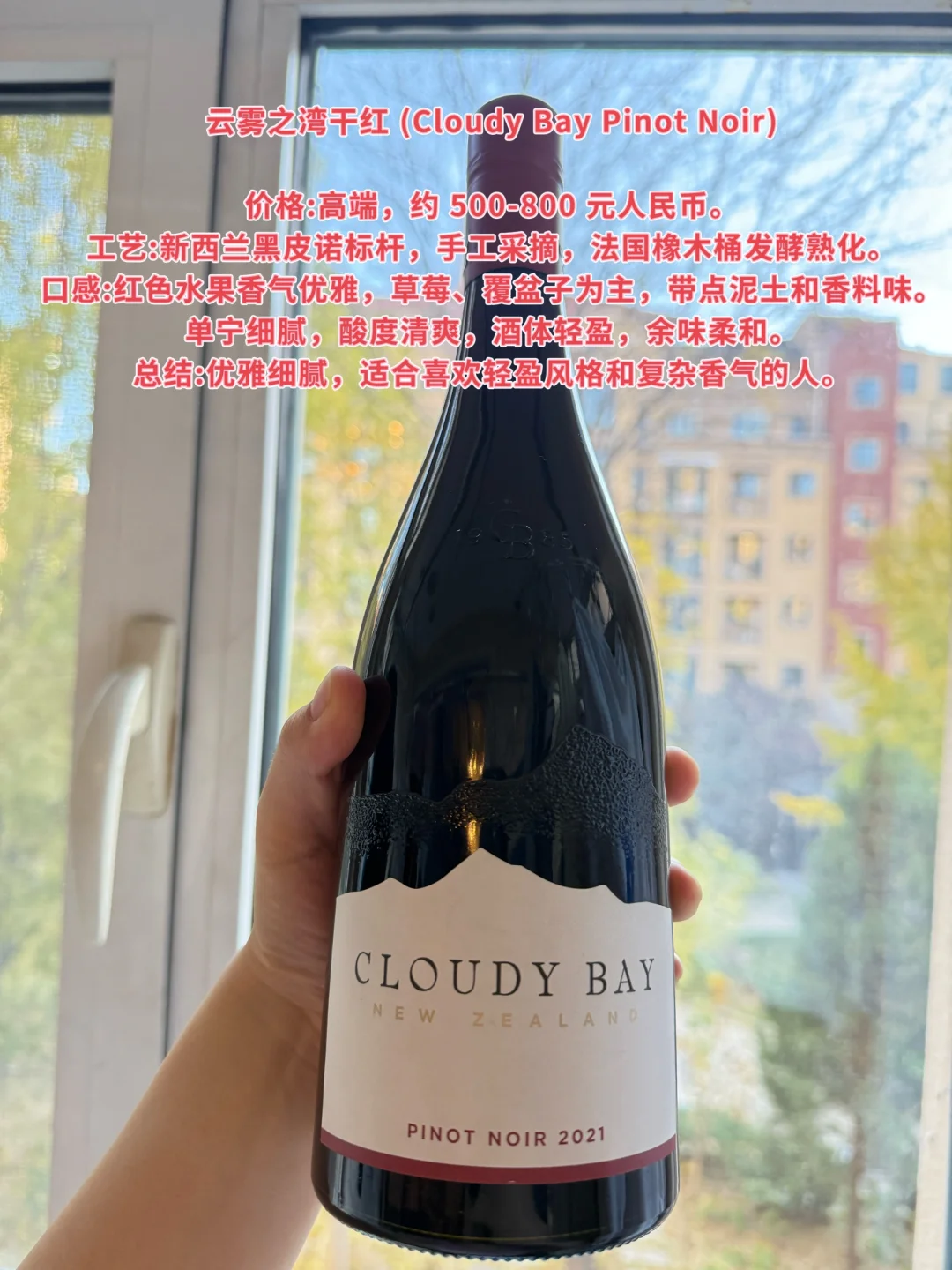 ?资深酒蒙子的良心推荐 总有一款适合你