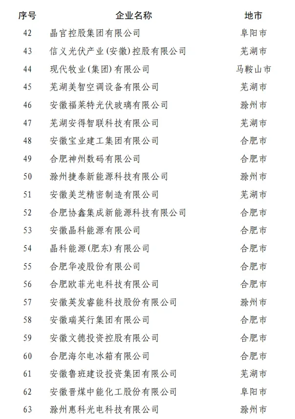 2024安徽省民营企业百强榜单