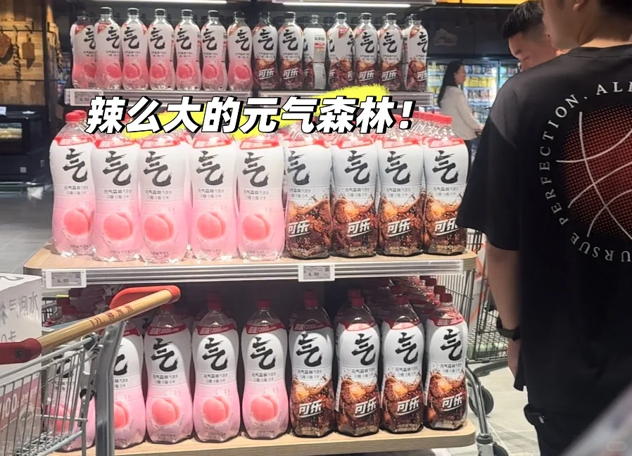 说走就走～石家庄?新乡胖东来一日游（1）