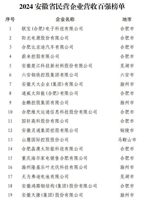2024安徽省民营企业百强榜单