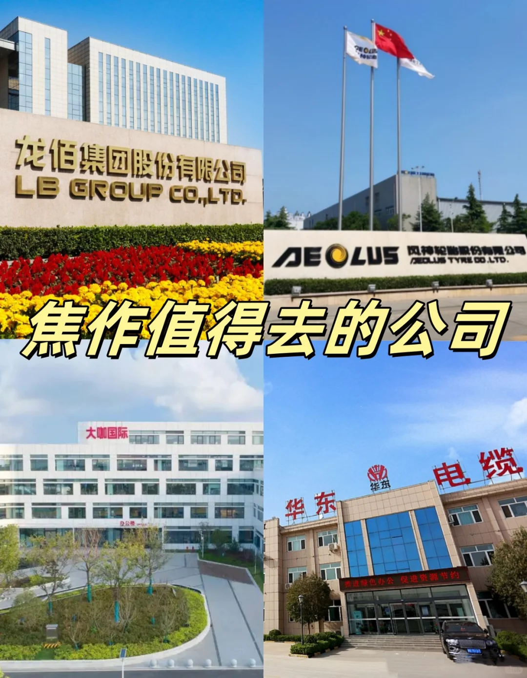 焦作必去的 6 家神仙公司