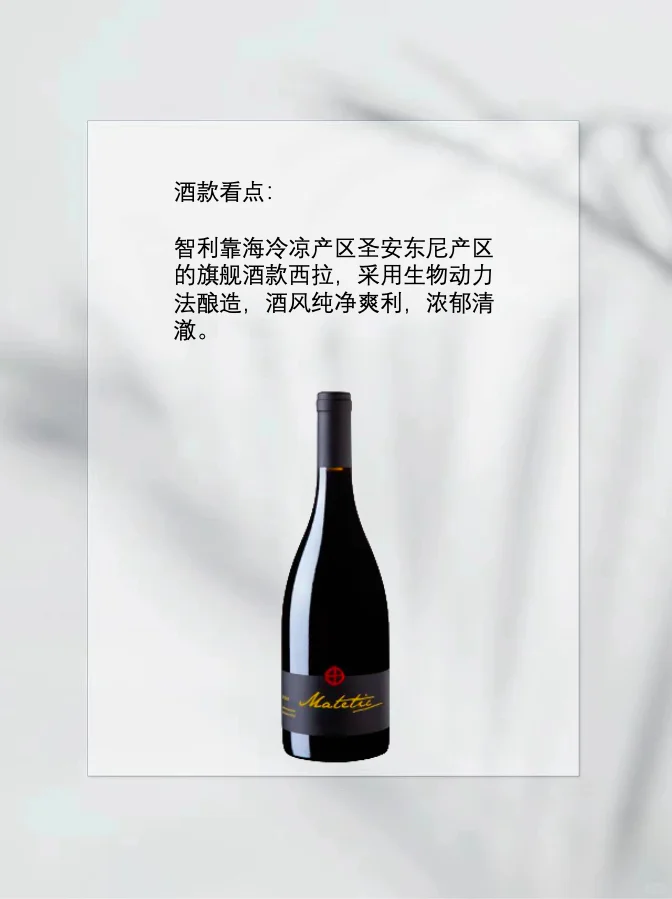 智利酒魂108将之二十六