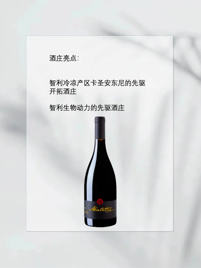 智利酒魂108将之二十六