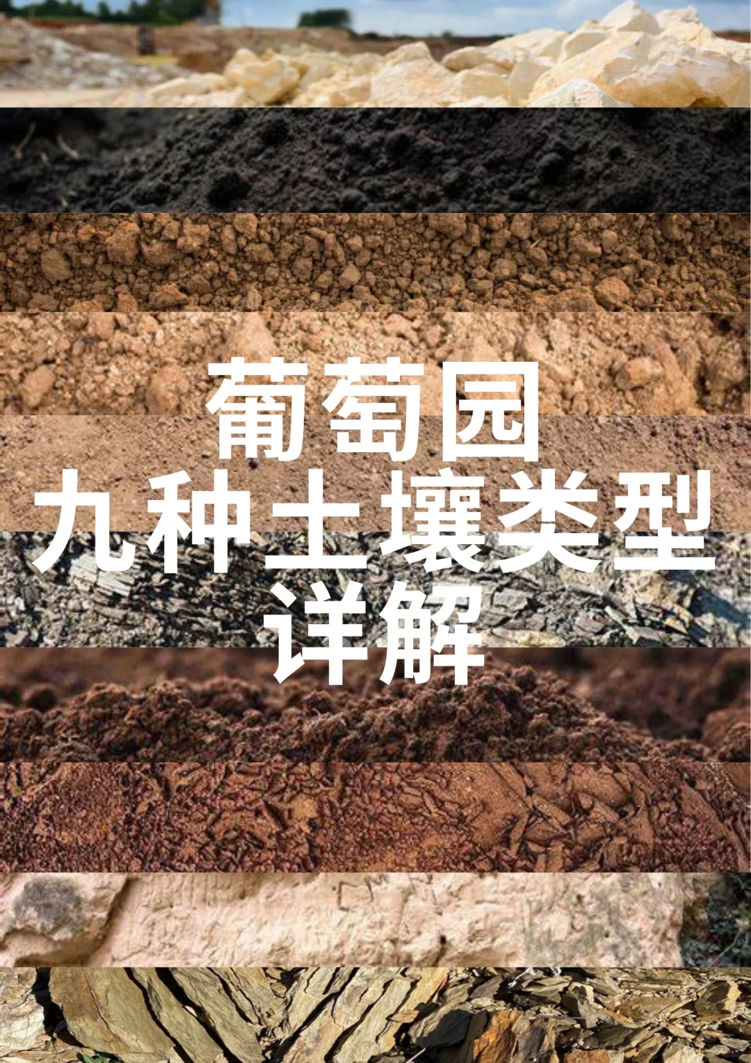 ?葡萄土壤的重要性，可能远超你的想象