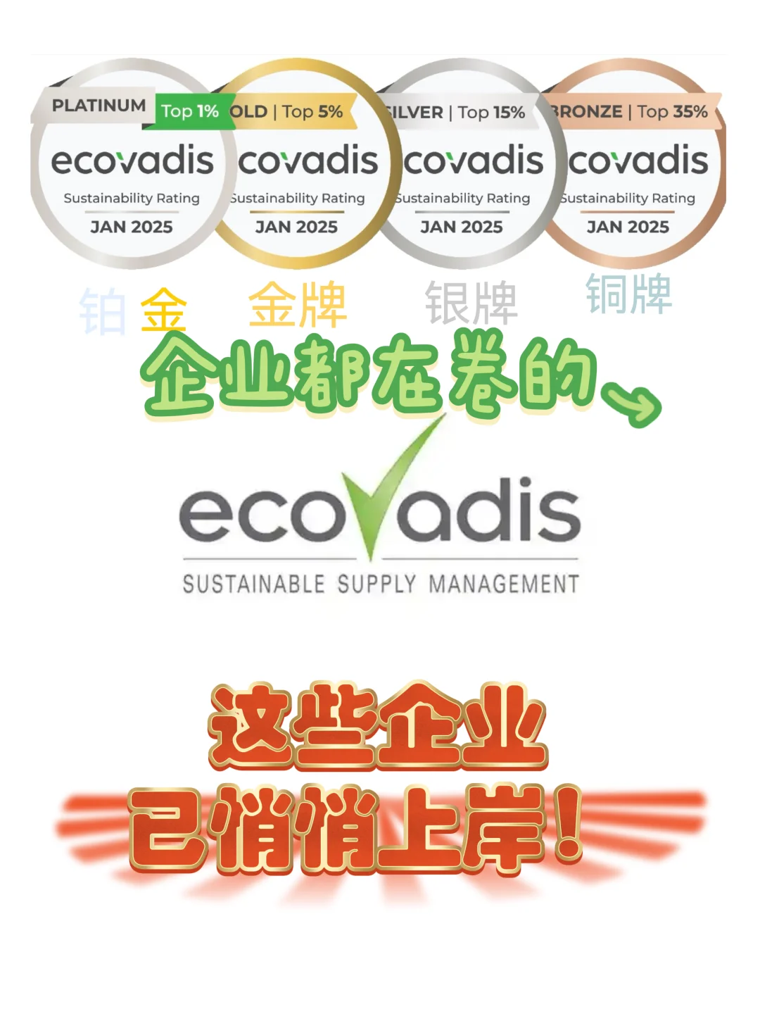 企业都在卷的Ecovadis，这些行业已悄悄上岸