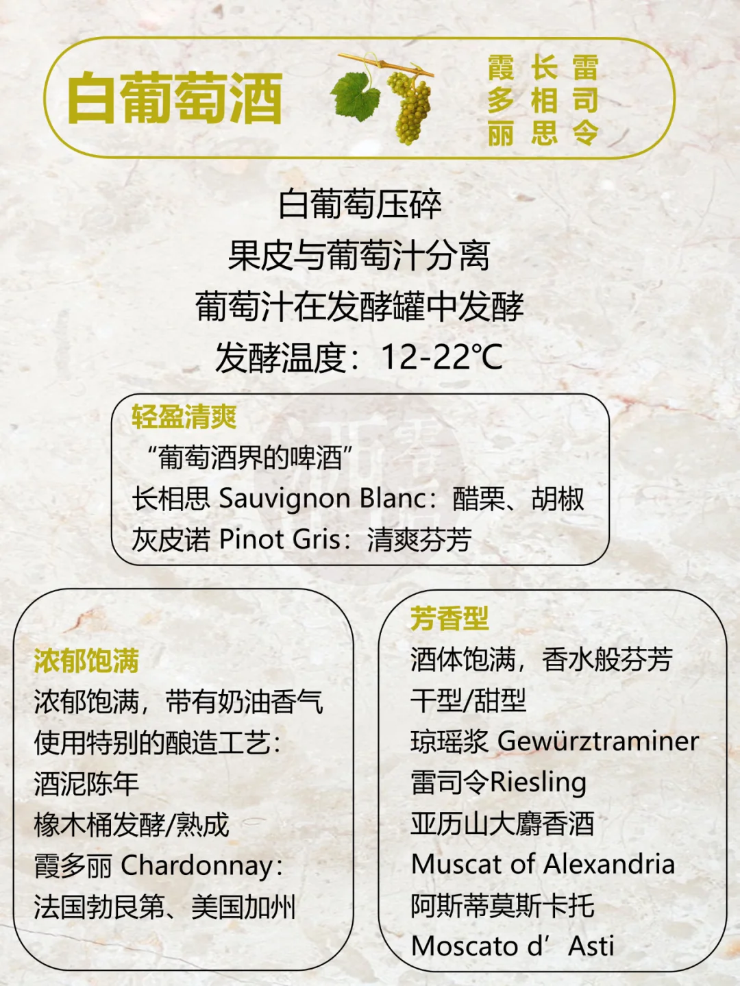 世界六大类葡萄酒知识（珍藏版）