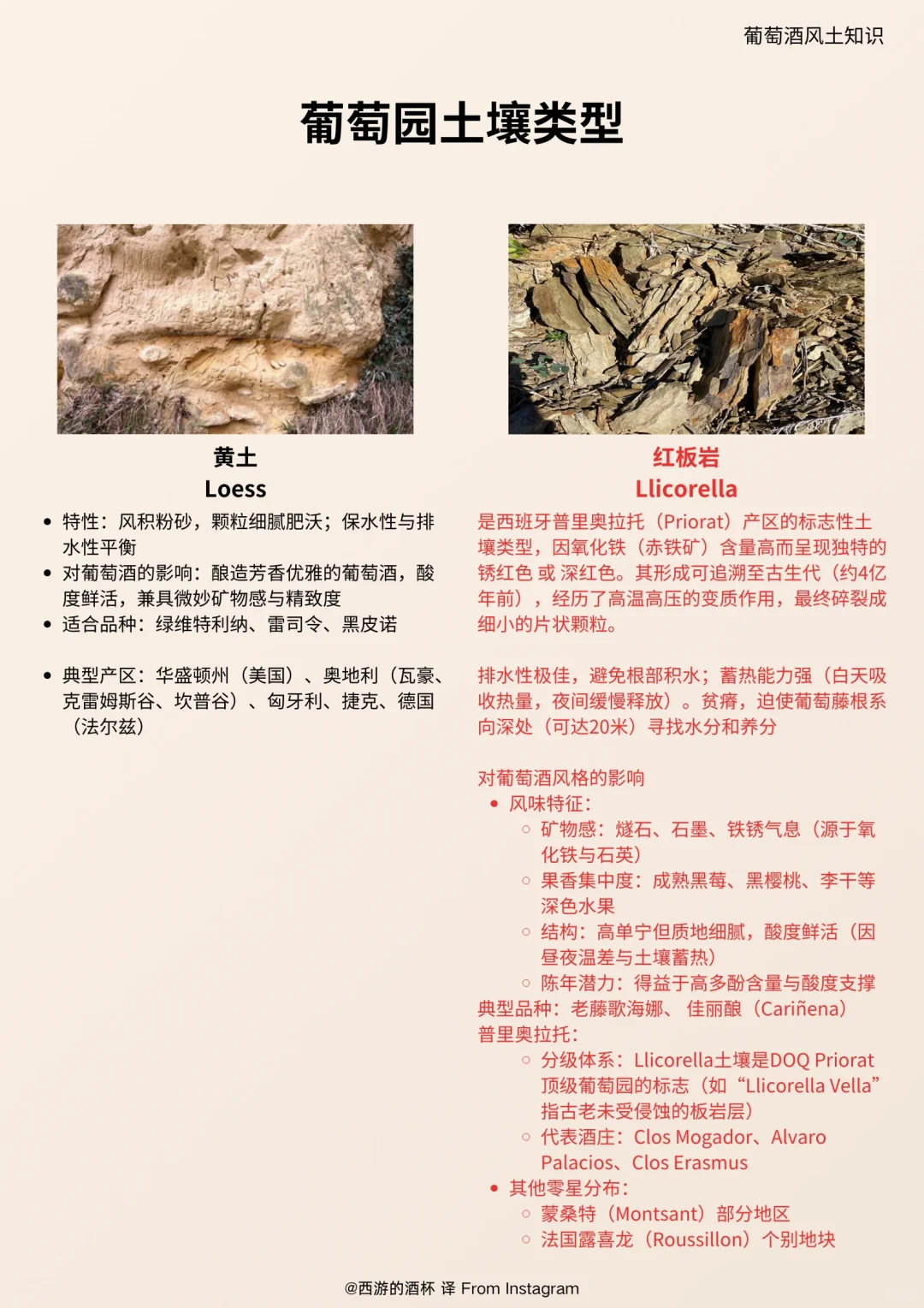?葡萄土壤的重要性，可能远超你的想象