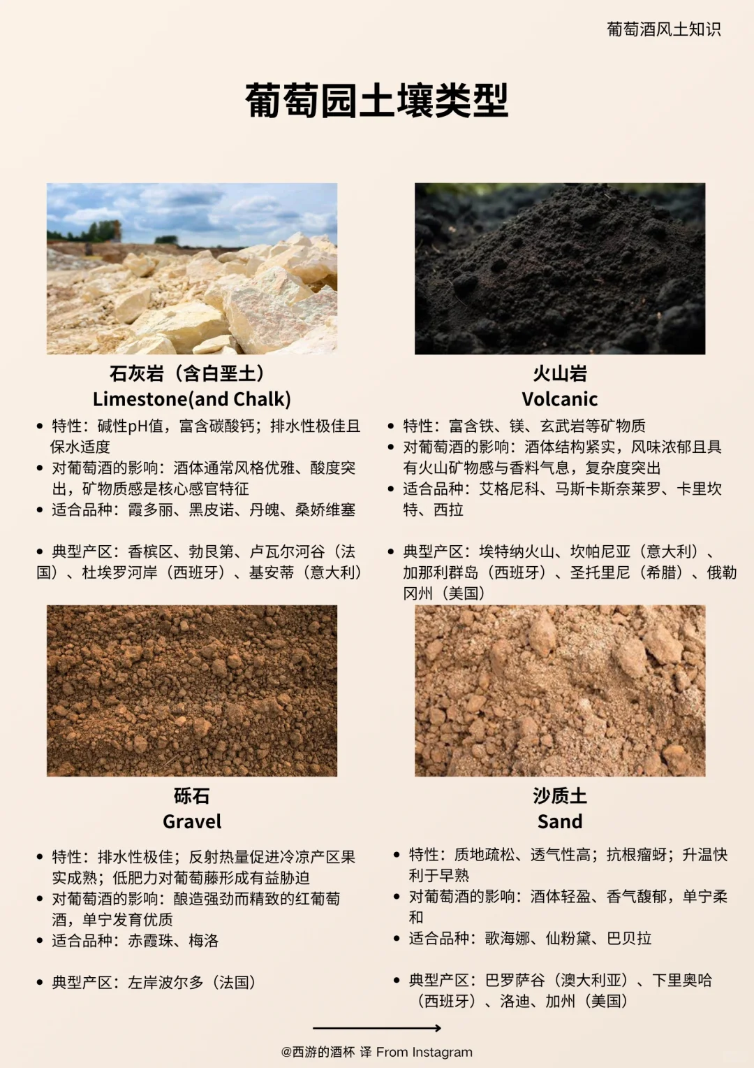 ?葡萄土壤的重要性，可能远超你的想象