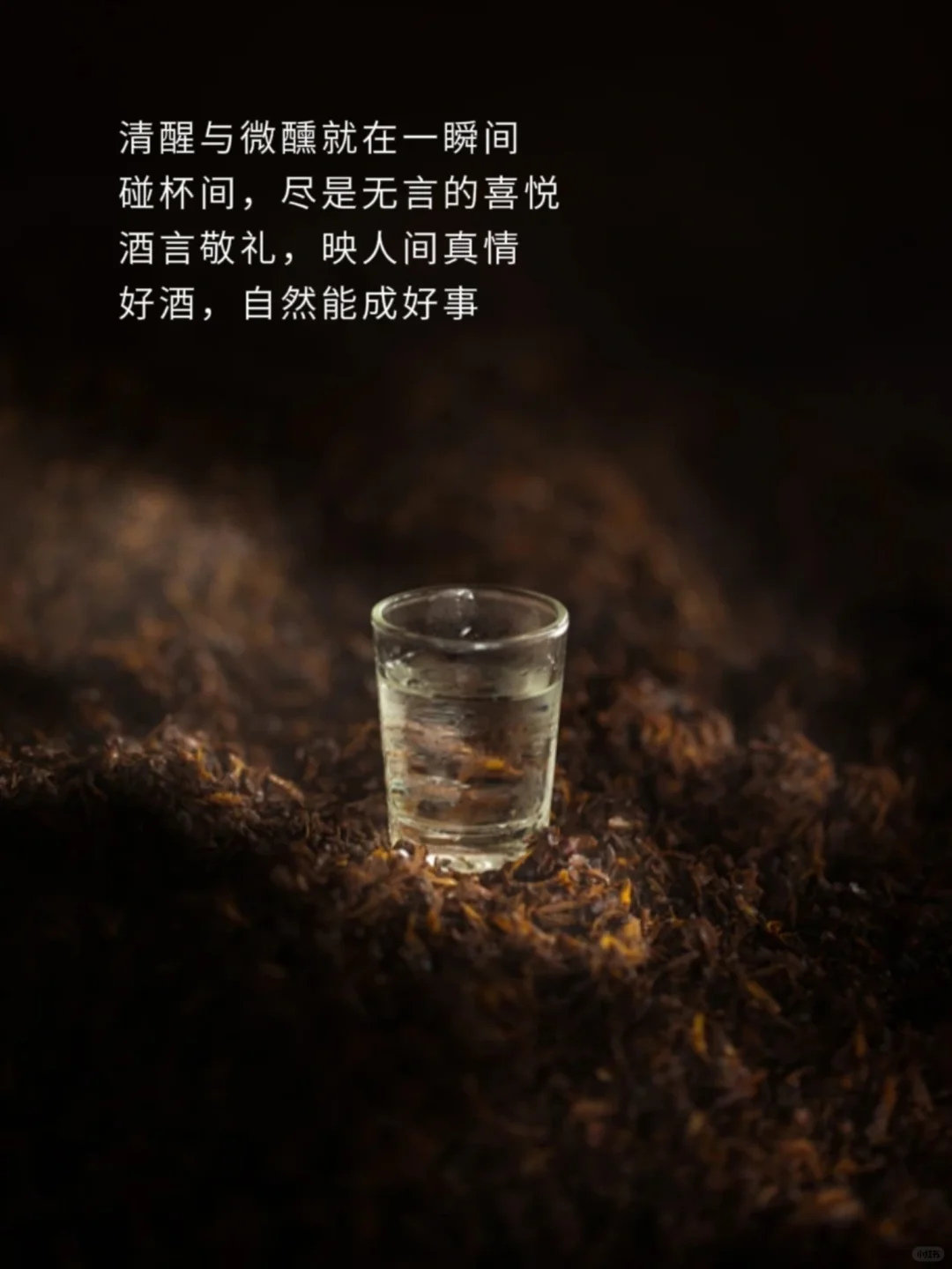 白酒文案|用心对待每段时间的酝酿