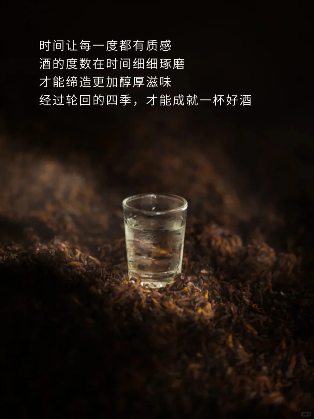 白酒文案|用心对待每段时间的酝酿
