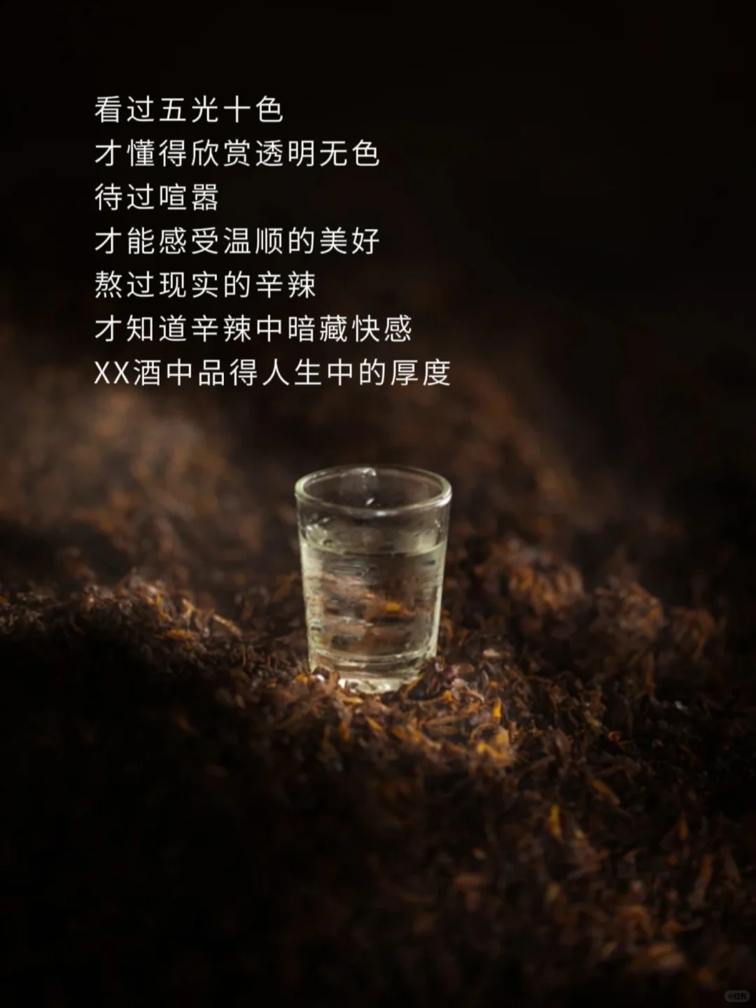白酒文案|用心对待每段时间的酝酿