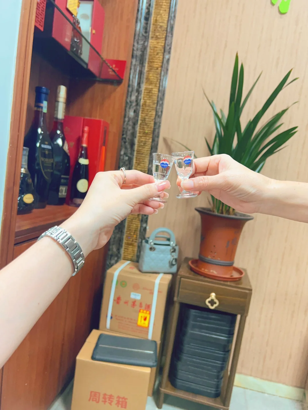 精品茅台 今晚和妈妈小酌一杯