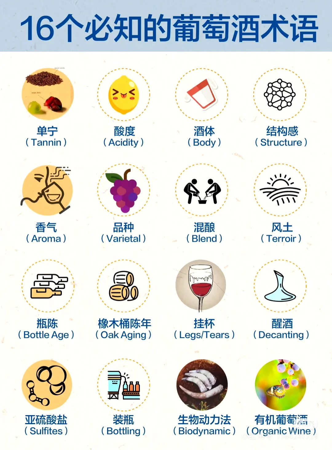 葡萄酒知识 | 16个必知的葡萄酒术语
