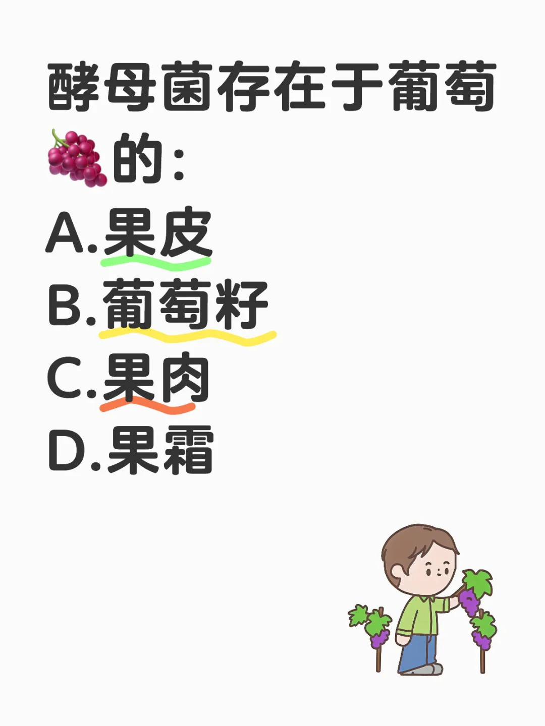 WSET3知识点｜葡萄酒的5大风味来源