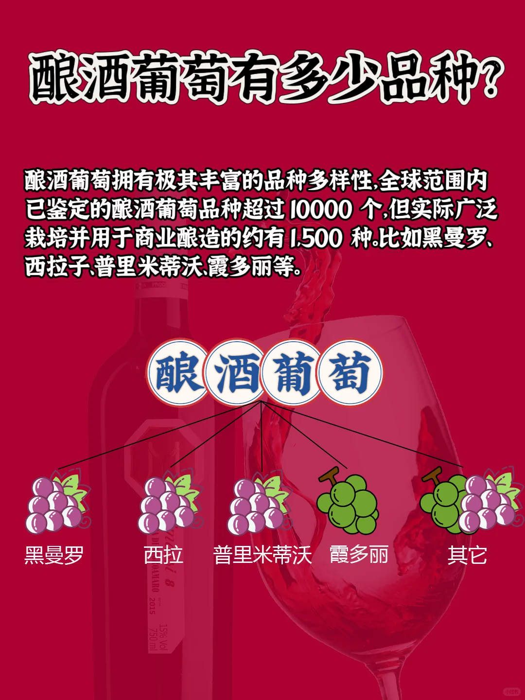 葡萄酒有哪些类型？新手看这篇就够了