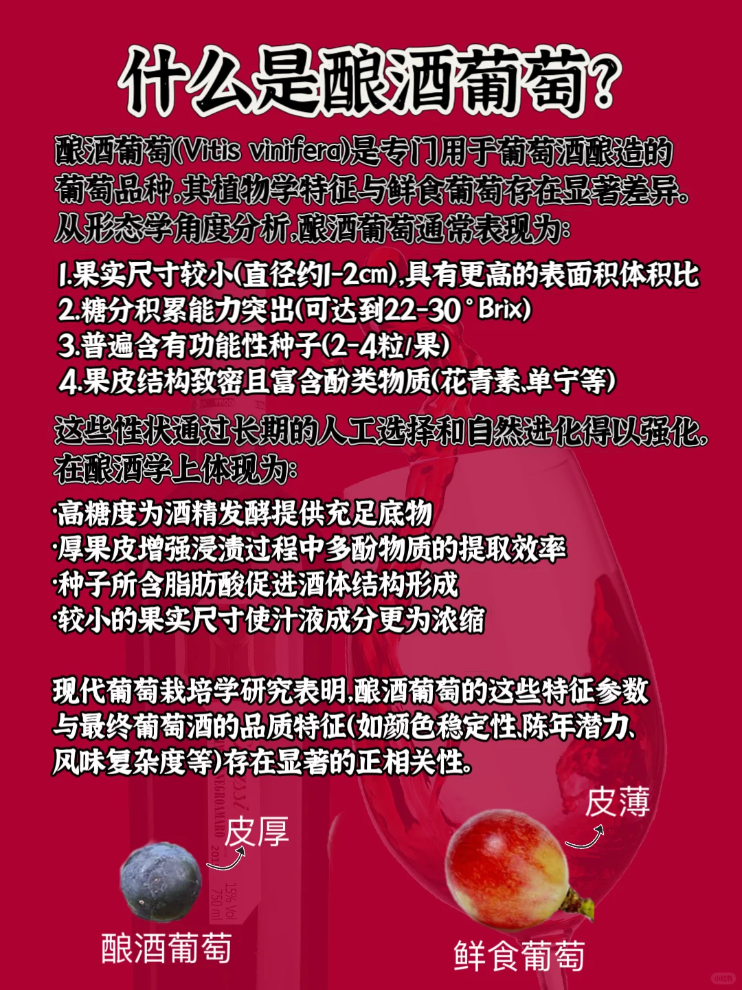 葡萄酒有哪些类型？新手看这篇就够了