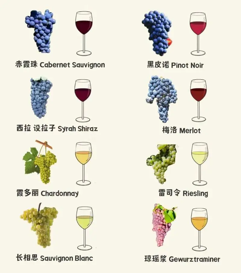 红白葡萄酒的区别！看完这篇，选酒不再难