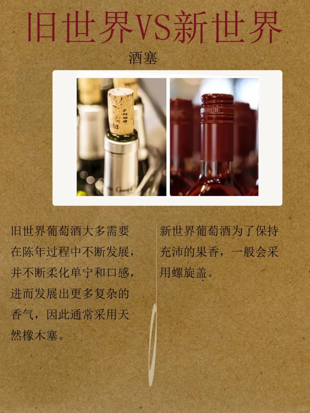 ?干货❗️新旧世界葡萄酒大PK｜选酒不迷茫✨