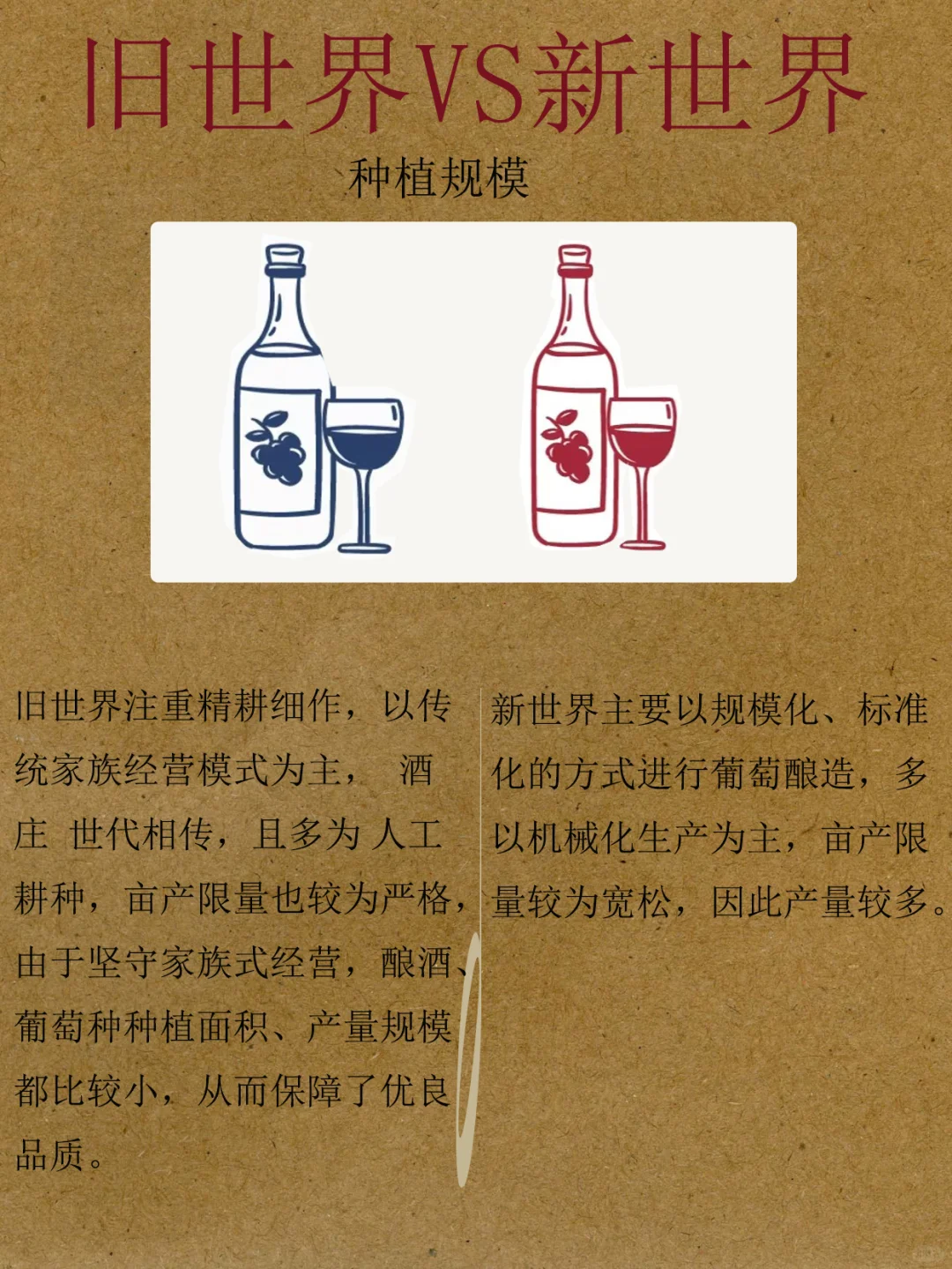 ?干货❗️新旧世界葡萄酒大PK｜选酒不迷茫✨