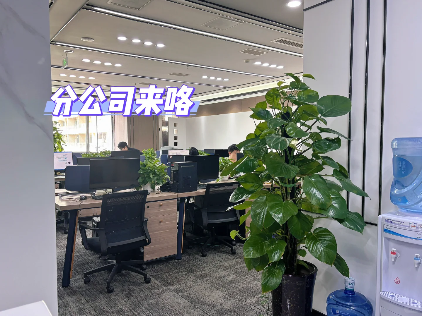 分享办公环境｜纯销售｜高薪工作