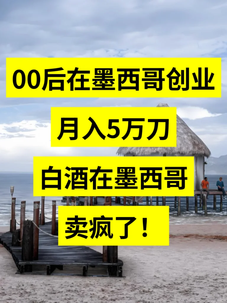 闺蜜在墨西哥开酒馆月入5万刀？我太震惊了