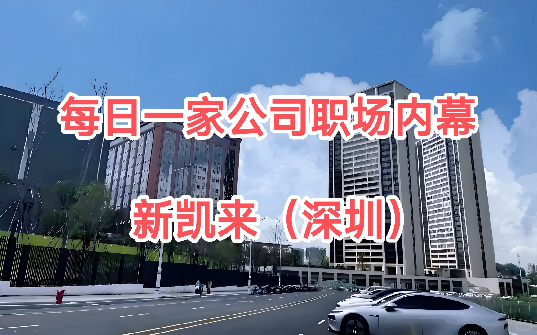 每日一家公司职场内幕——新凯来（深圳）