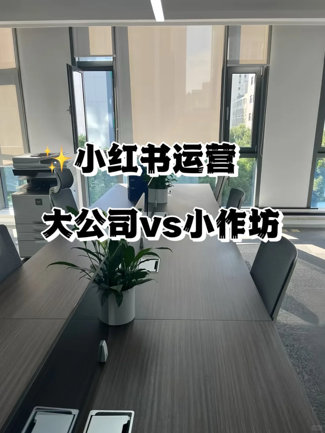✨小红书运营｜大公司vs小作坊