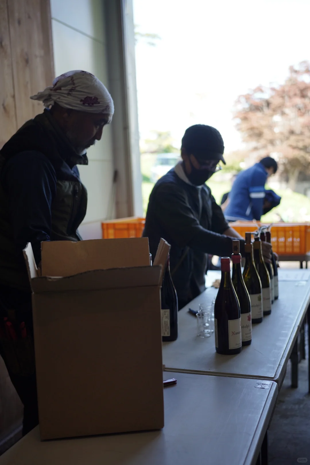 今年喝过最棒的三支日本wine都出自这个酒庄
