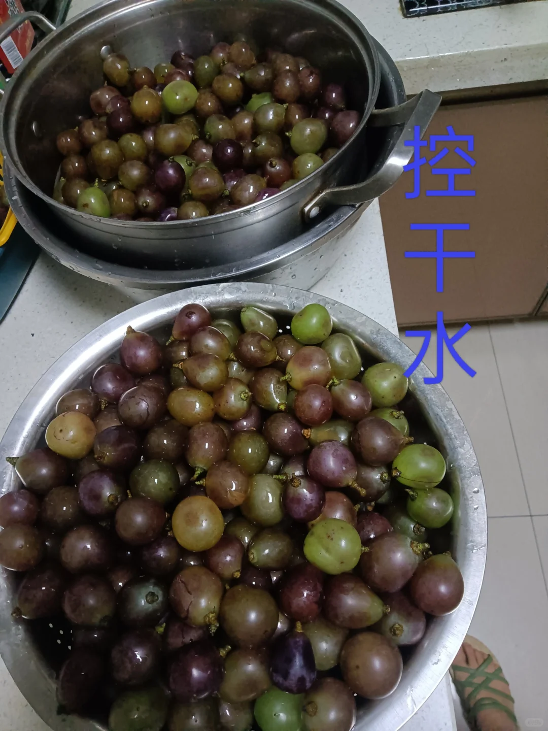 自己做葡萄酒