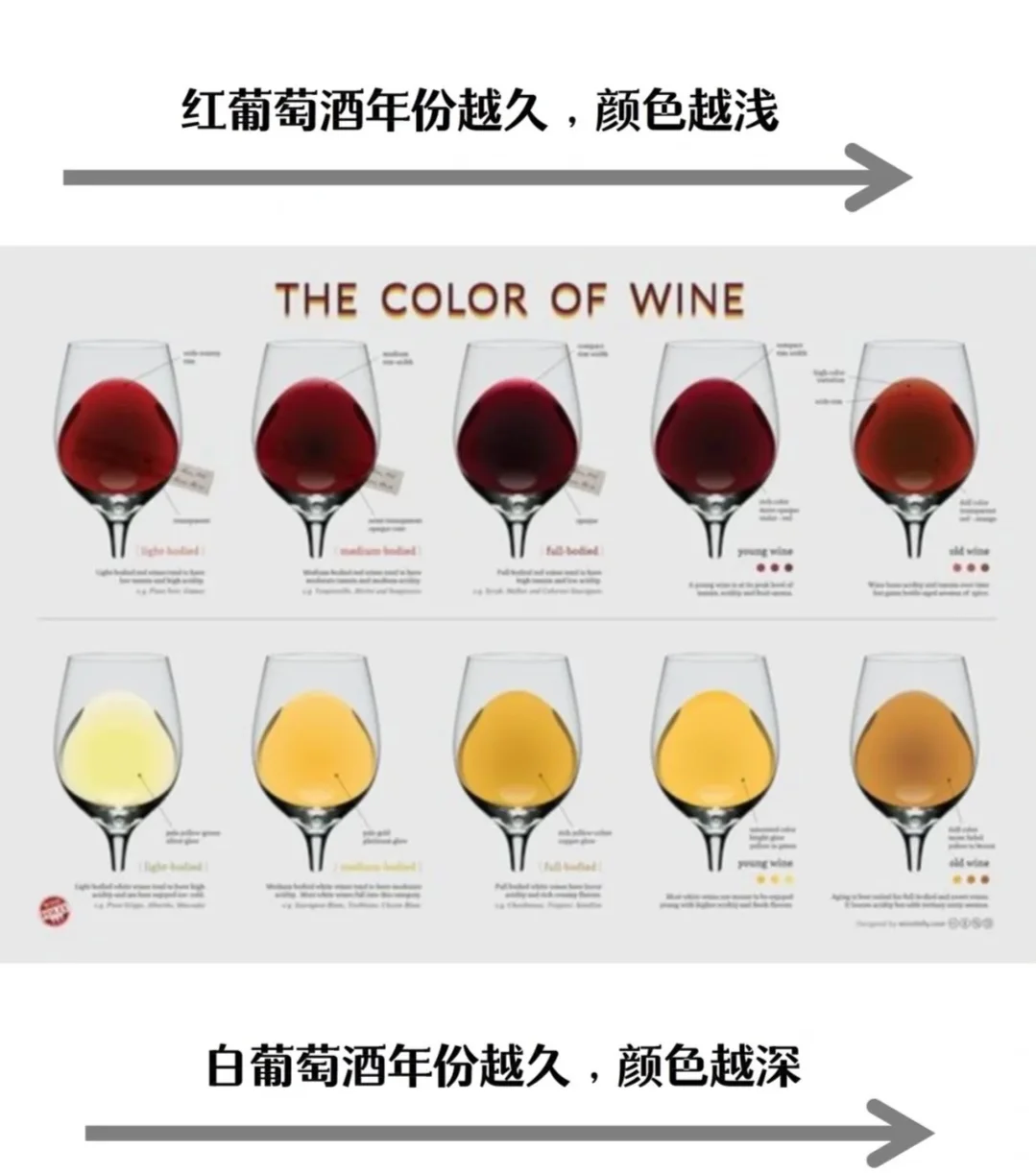 ✨ 女生必看！3分钟搞懂葡萄酒、选酒品酒