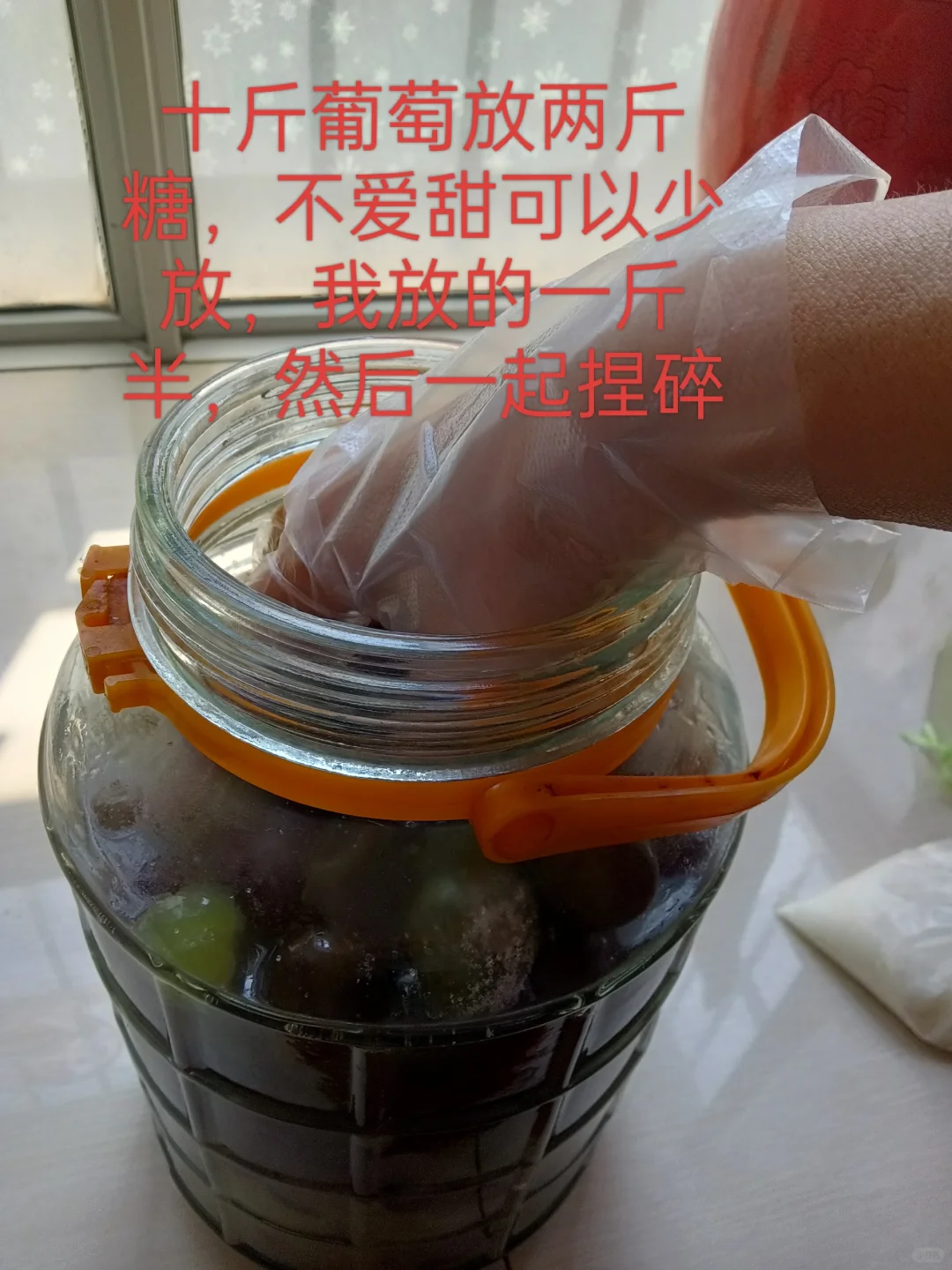 自己做葡萄酒