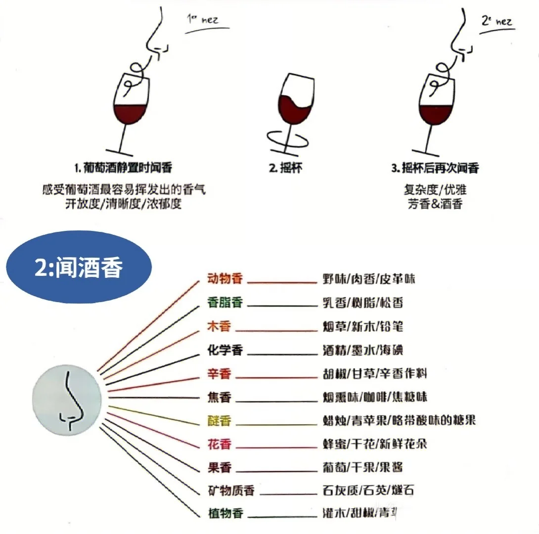 ✨ 女生必看！3分钟搞懂葡萄酒、选酒品酒