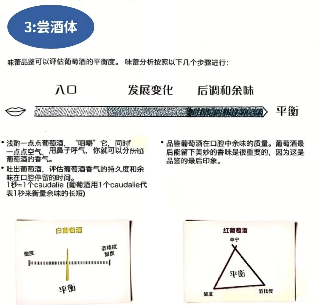 ✨ 女生必看！3分钟搞懂葡萄酒、选酒品酒