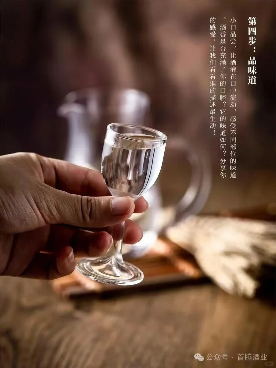 品酒六步法