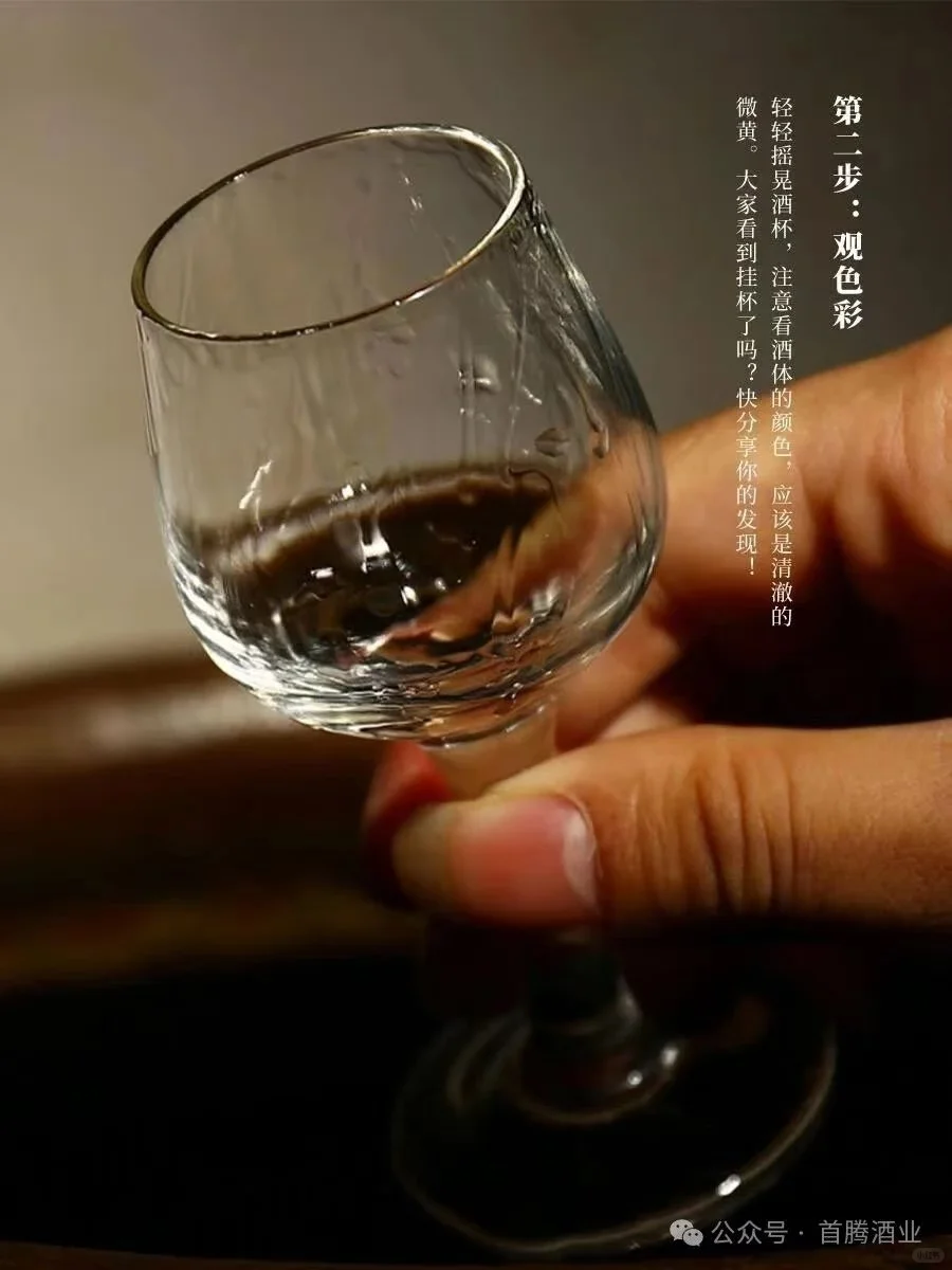 品酒六步法