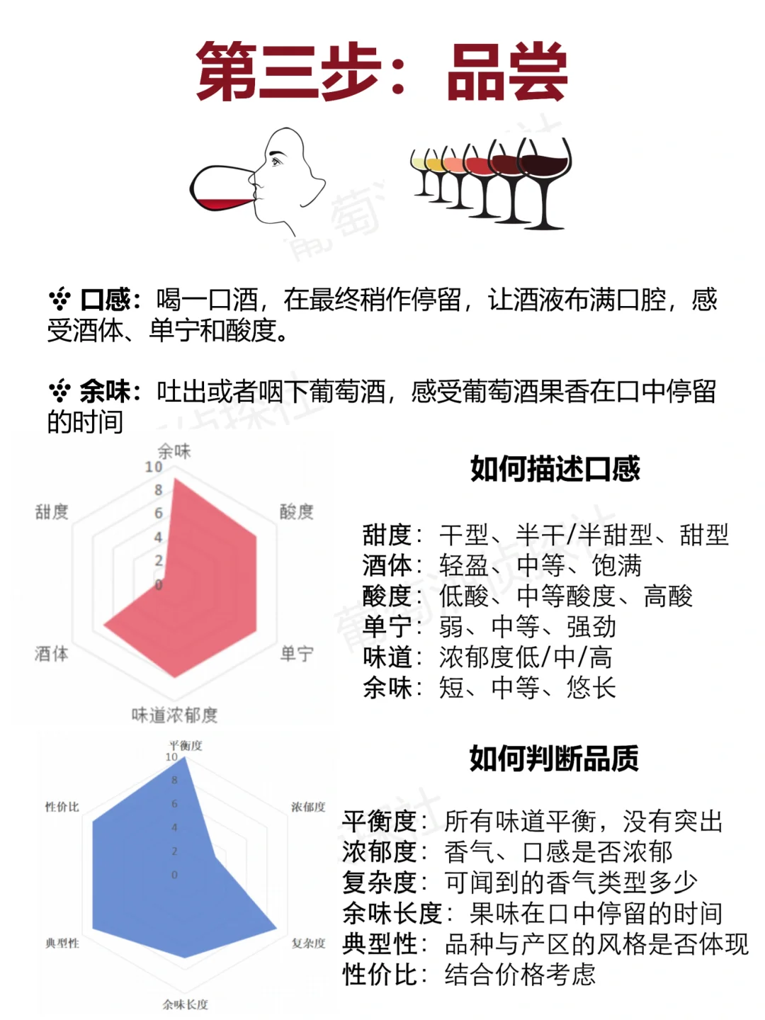 1分钟秒变品酒达人，不服的进来……