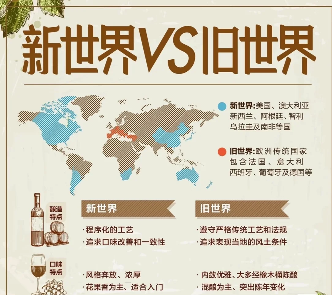 ✨ 女生必看！3分钟搞懂葡萄酒、选酒品酒